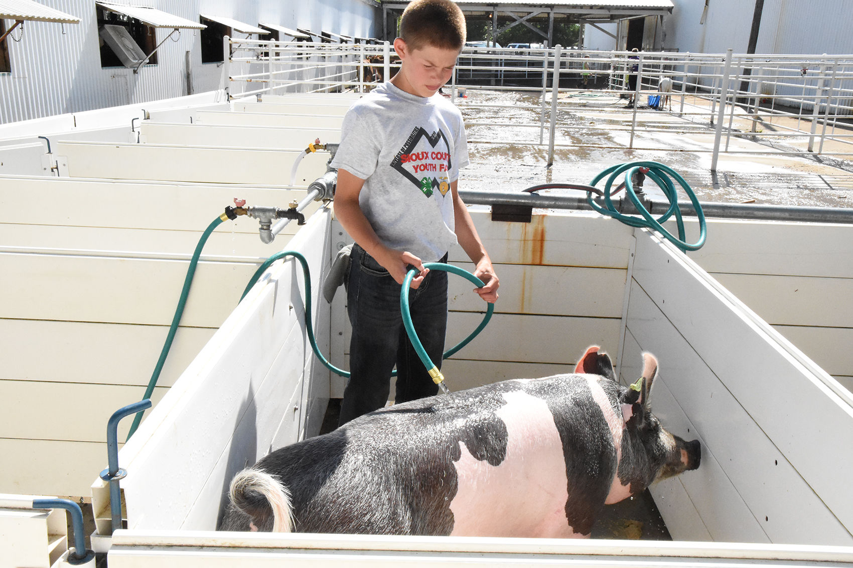 Sioux fair2